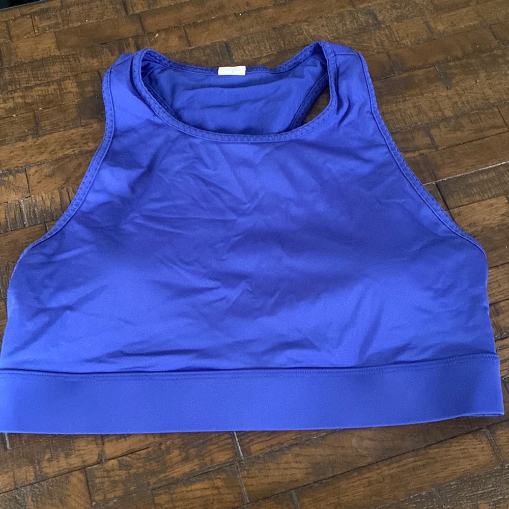 Fabletics High Impact Bra